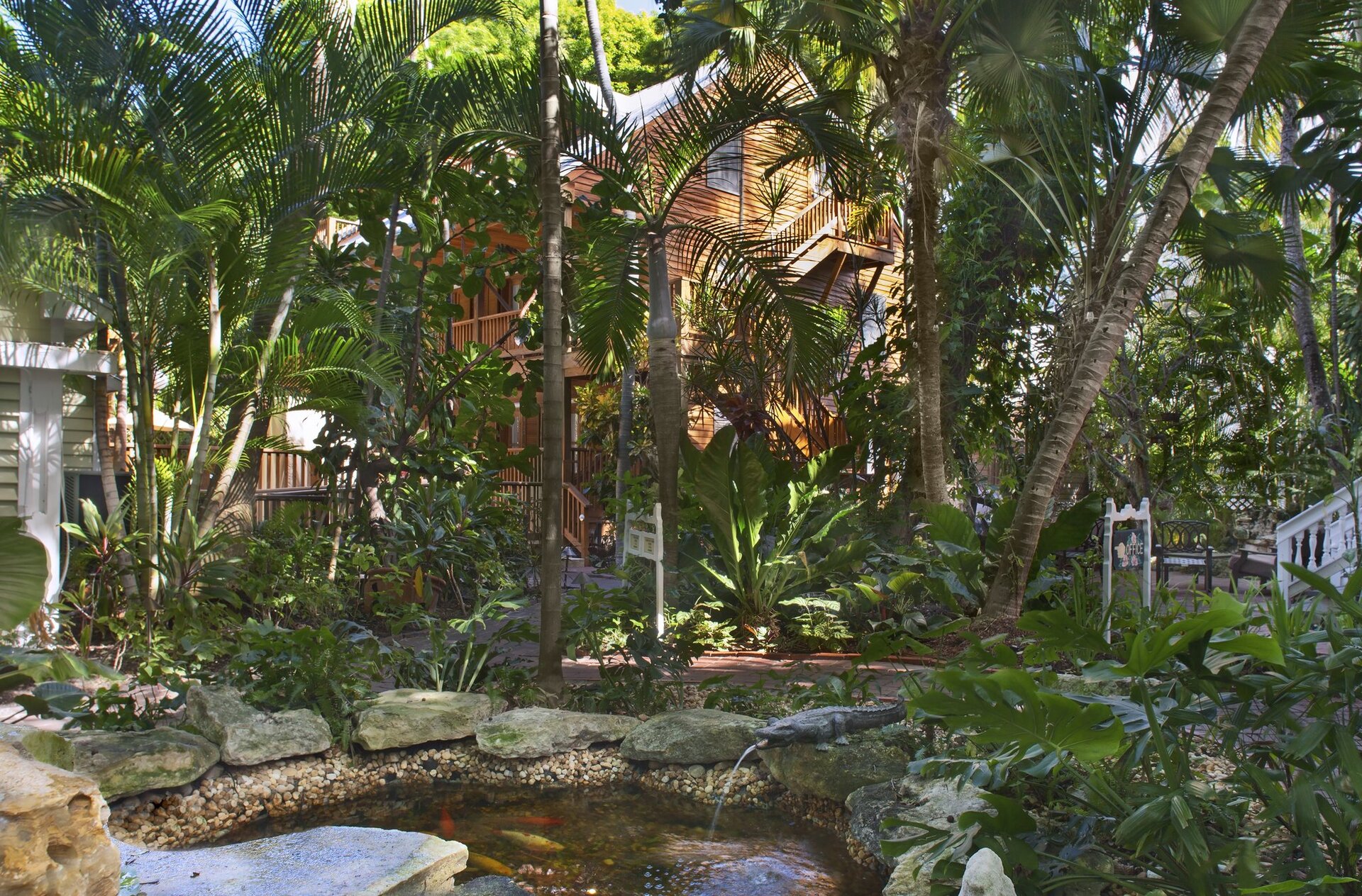 Garden with Koi Pond